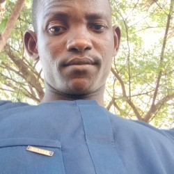 Umar Faruk