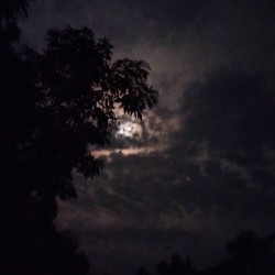 Mahfujur Rahman Masum