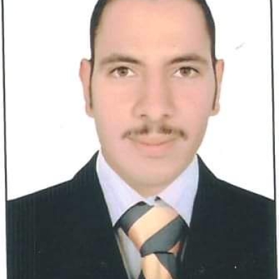 سعيد أبو العلا أبو االعلا