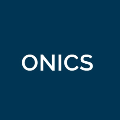 Onics power resistor
