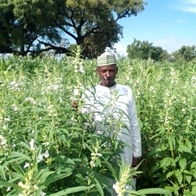 Adamu Haruna