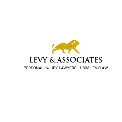 Levy Associates