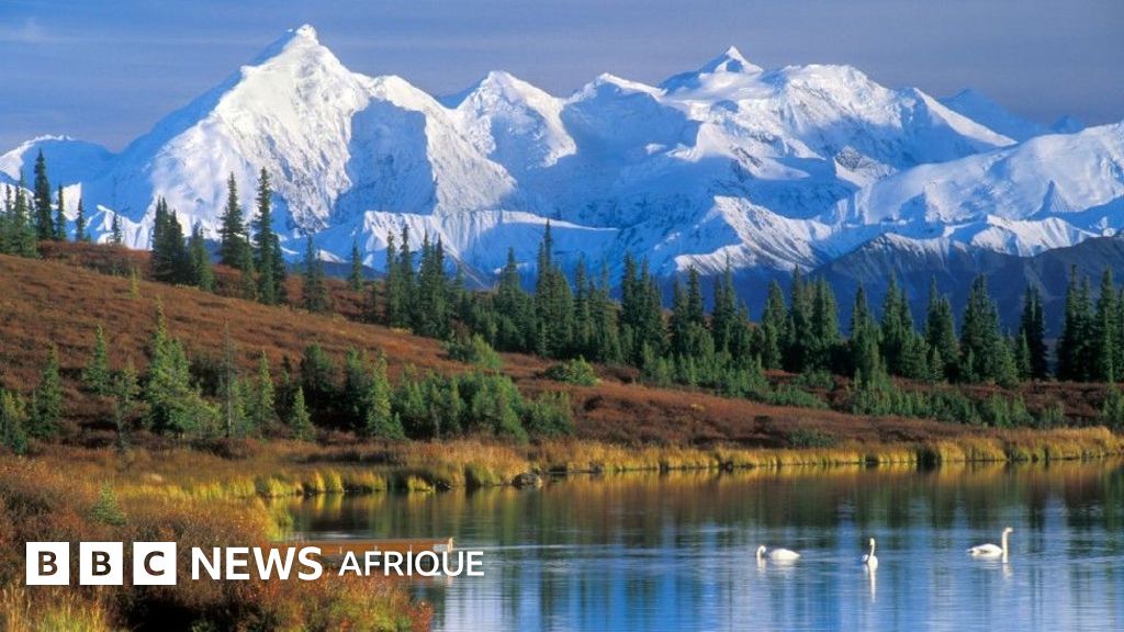 Pourquoi Trump et Poutine se rencontrent-ils en Alaska ? - BBC News Afrique