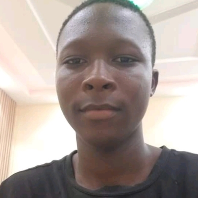 Julien E. Lokossou