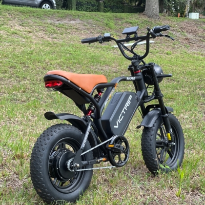 VICTRIP Ebike