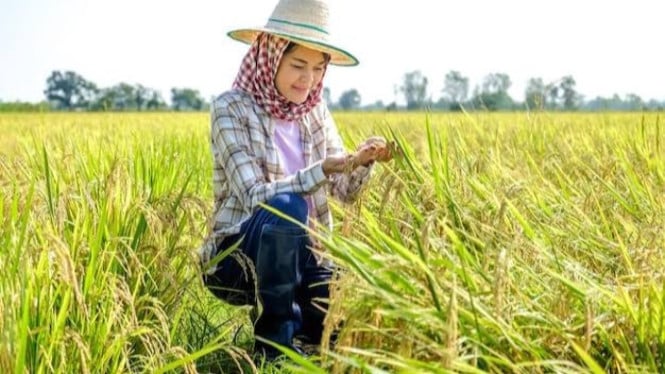 Urban Farming vs Pertanian Tradisional, Mana yang Lebih Menguntungkan?