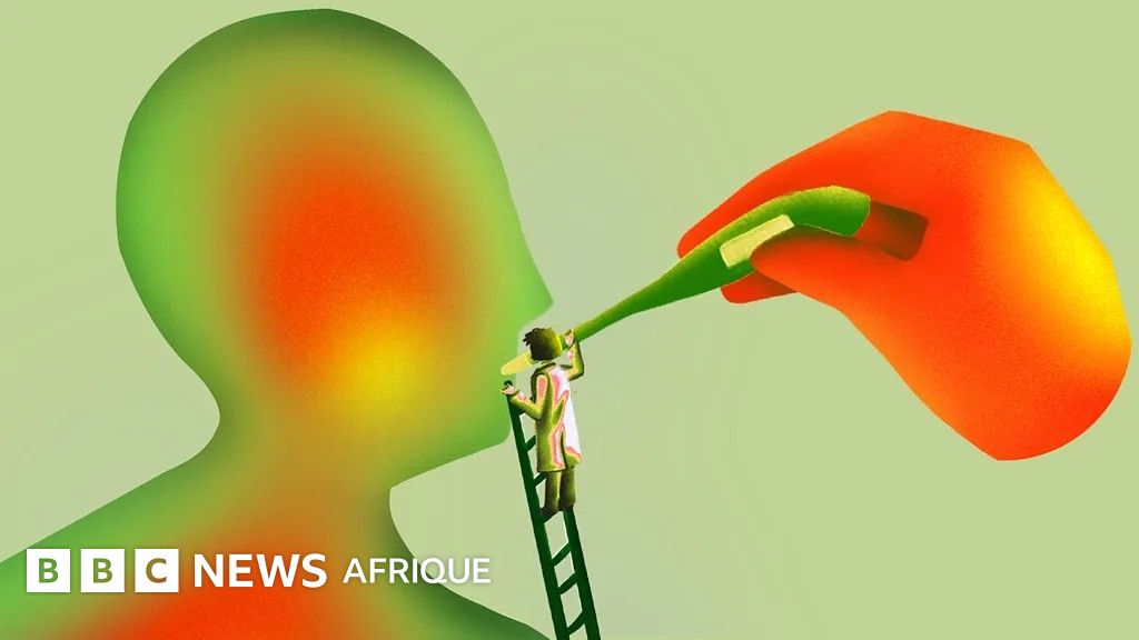 Faut-il toujours traiter la fièvre ? Ce symptôme a intrigué les médecins pendant des millénaires. - BBC News Afrique