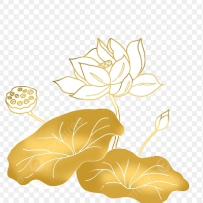 Pilotus flower22