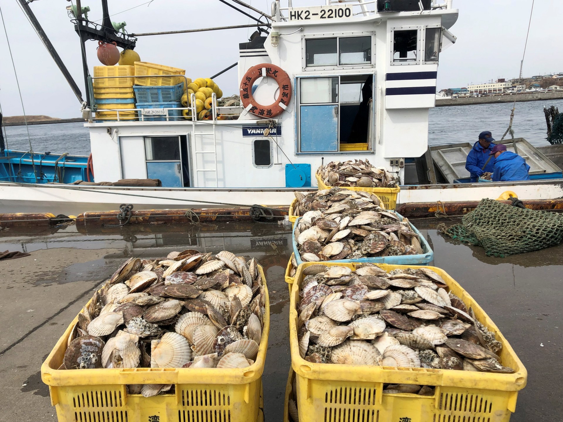 Japan resumes seafood exports to China after ban over Fukushima wastewater | Fukushima News | Al Jazeera
