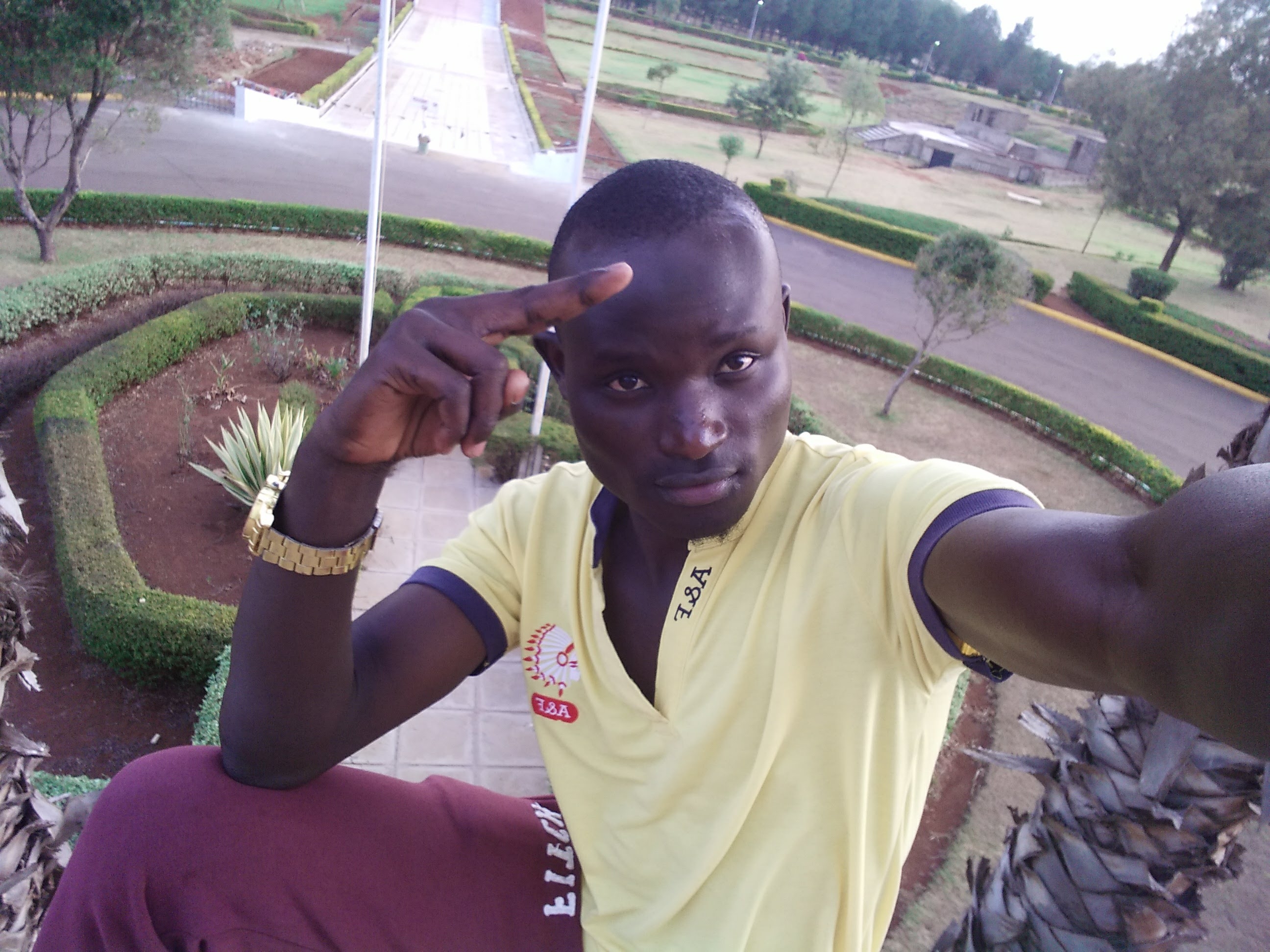 User Image