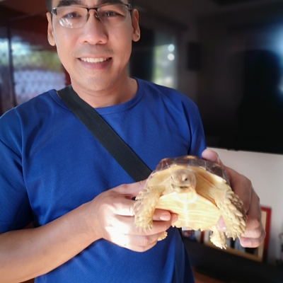 alvin constantino