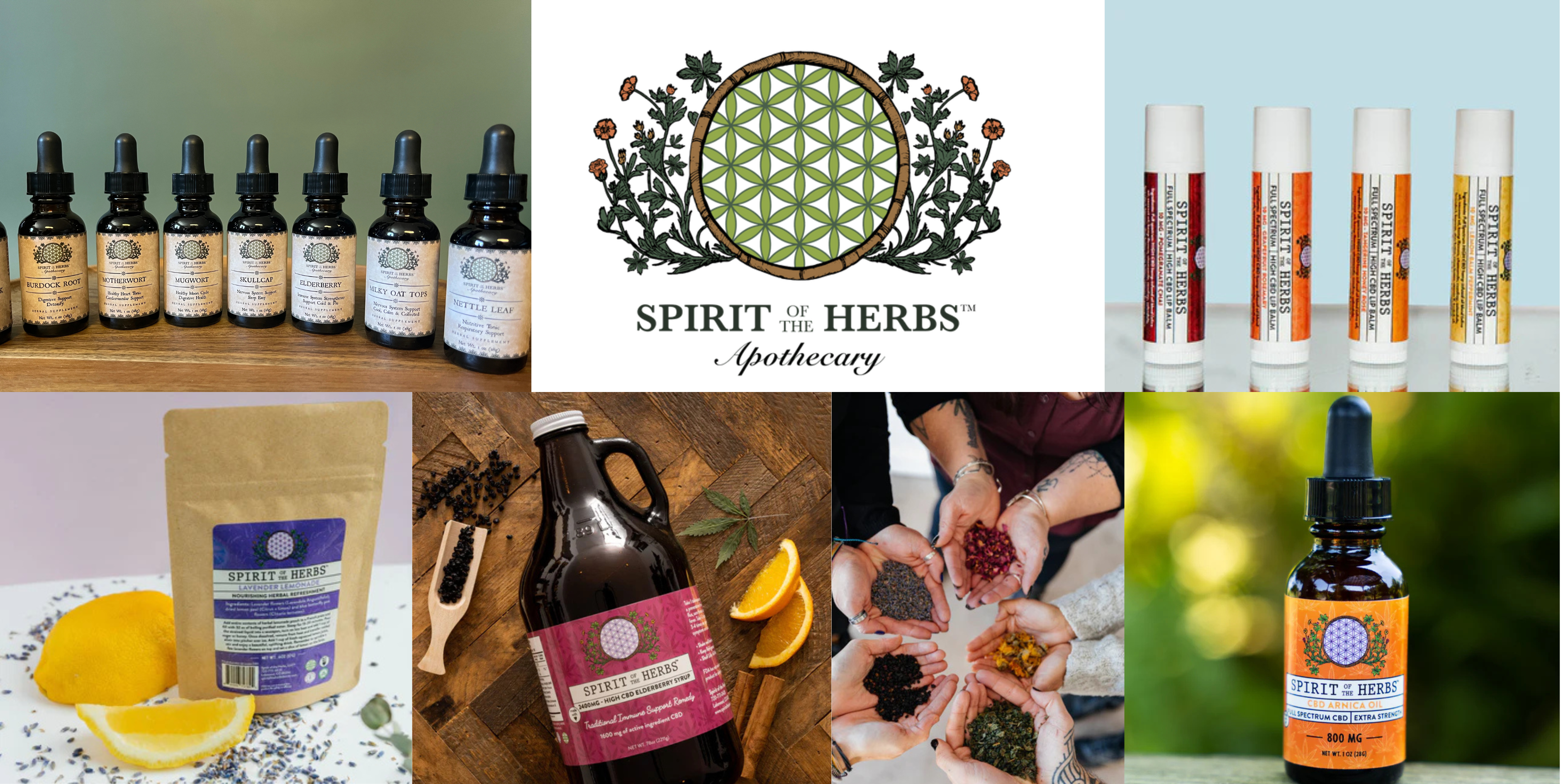 Whizolosophy | Top Products You’ll Find at a Herbal Apothecary Shop in 2025