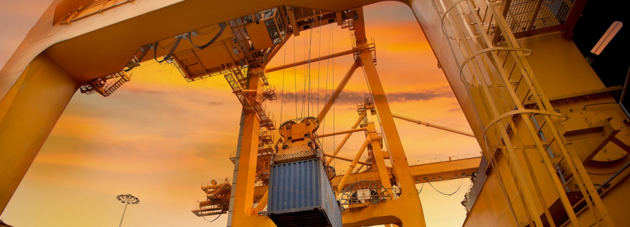 RADHA CRANES