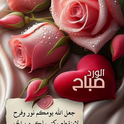 Assil12