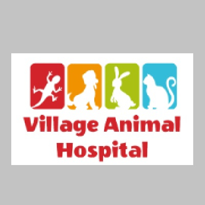 Village Animal Hospital