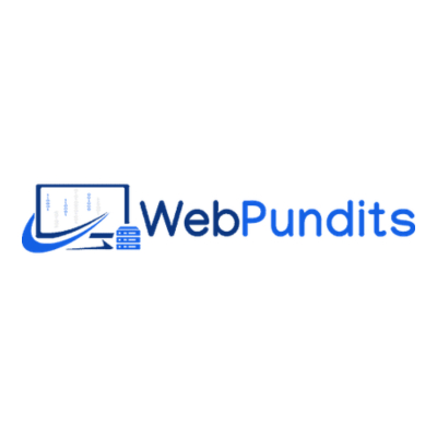 Web Pundits